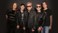 Honeymoon Suite