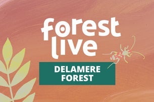 Delamere Forest