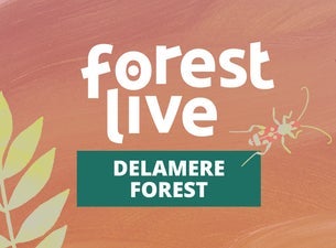 3 Day Festival Pass - Delamere Forest