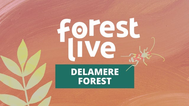 Delamere Forest tickets and events in UK 2024