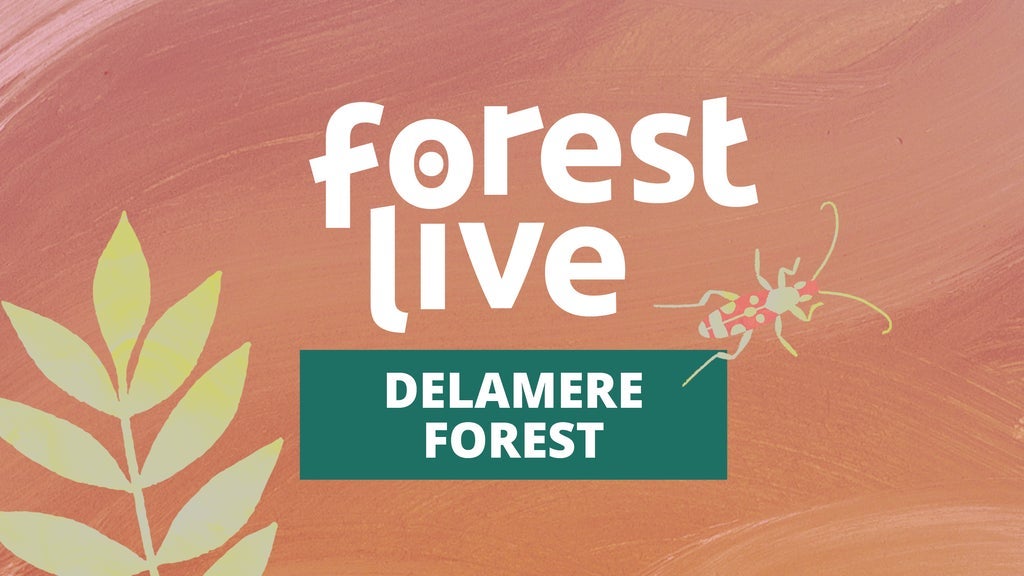 Hotels near Delamere Forest Events