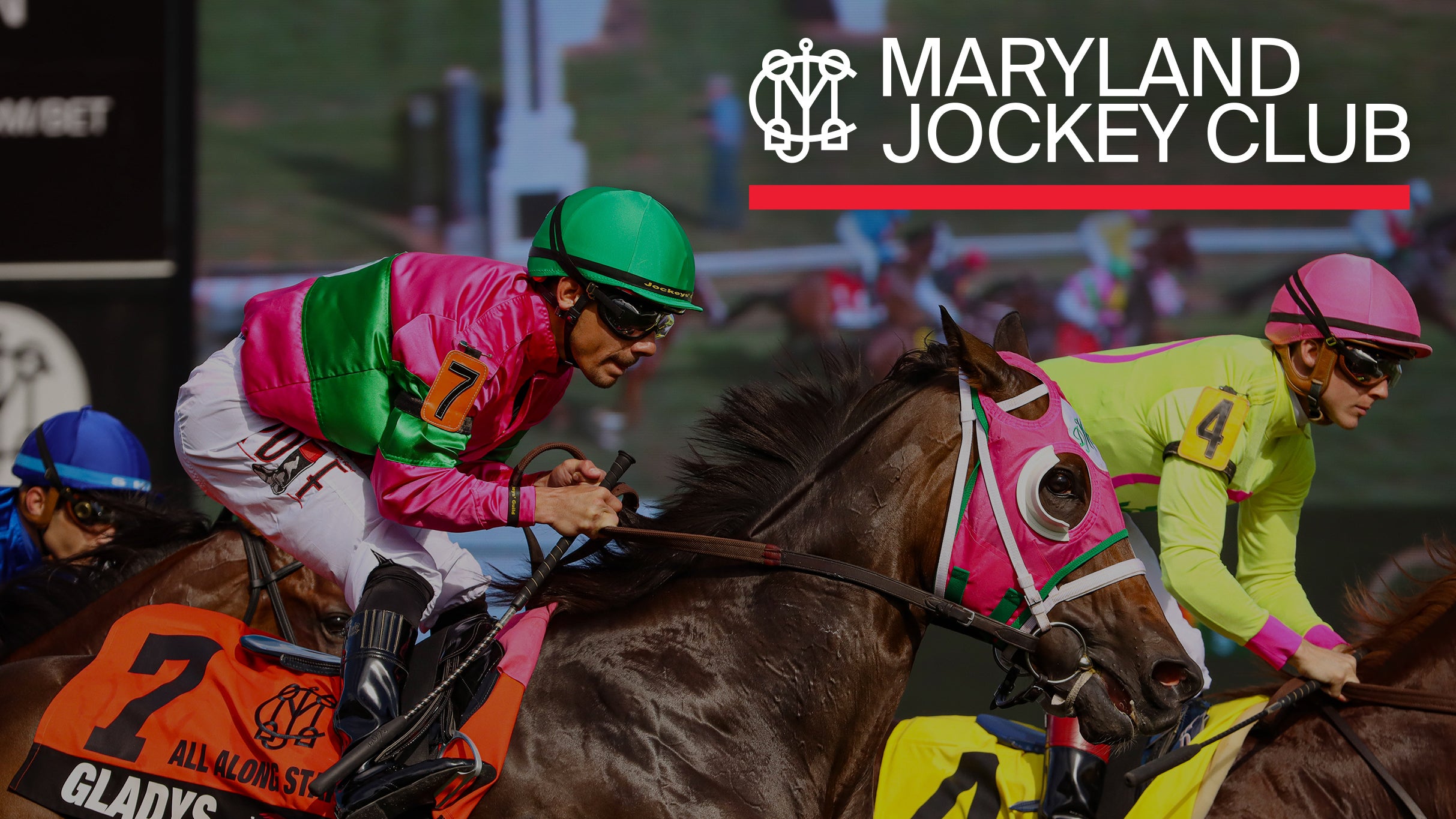 Maryland Million Day: Premium Hospitality at Laurel Racetrack – Laurel, MD