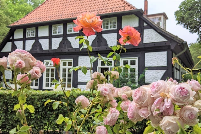 Rosenfest Heiligenberg 10 -18 Uhr