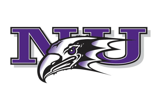 Niagara University Purple Eagles Men's Hockey