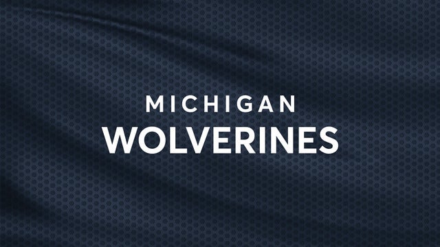 University of Michigan Wolverines Baseball