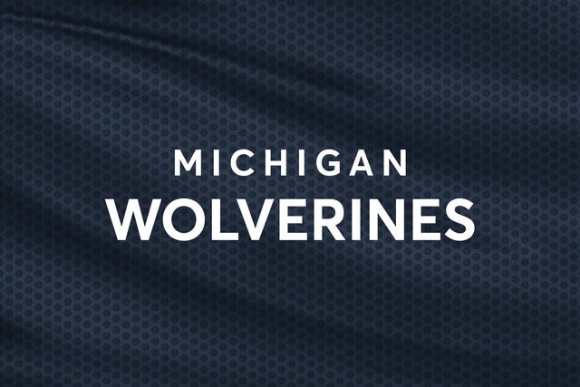 University of Michigan Wolverines Baseball hero