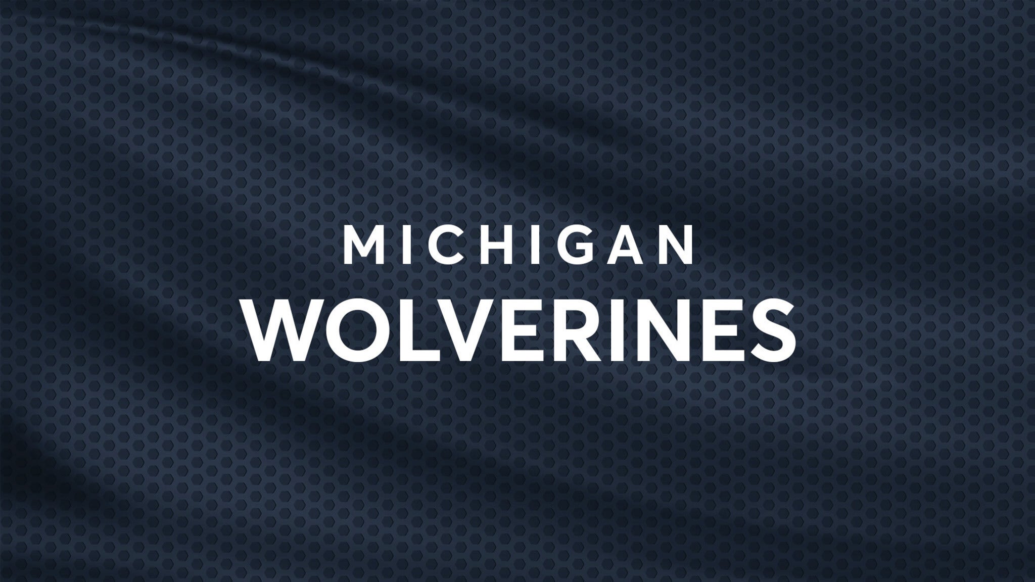 Michigan Wolverines Baseball vs. Michigan State Spartans Baseball