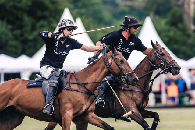 Polopicknick 2026 - Samstagsticket