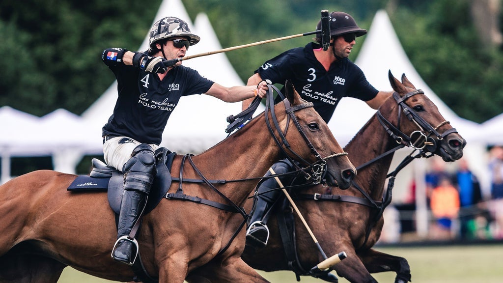 Polopicknick