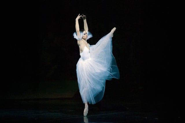 Presale codes for giselle: members use these when buying pre-sale tickets