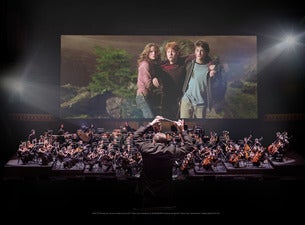 Image of Harry Potter and the Sorcerer's Stone (TM) In Concert