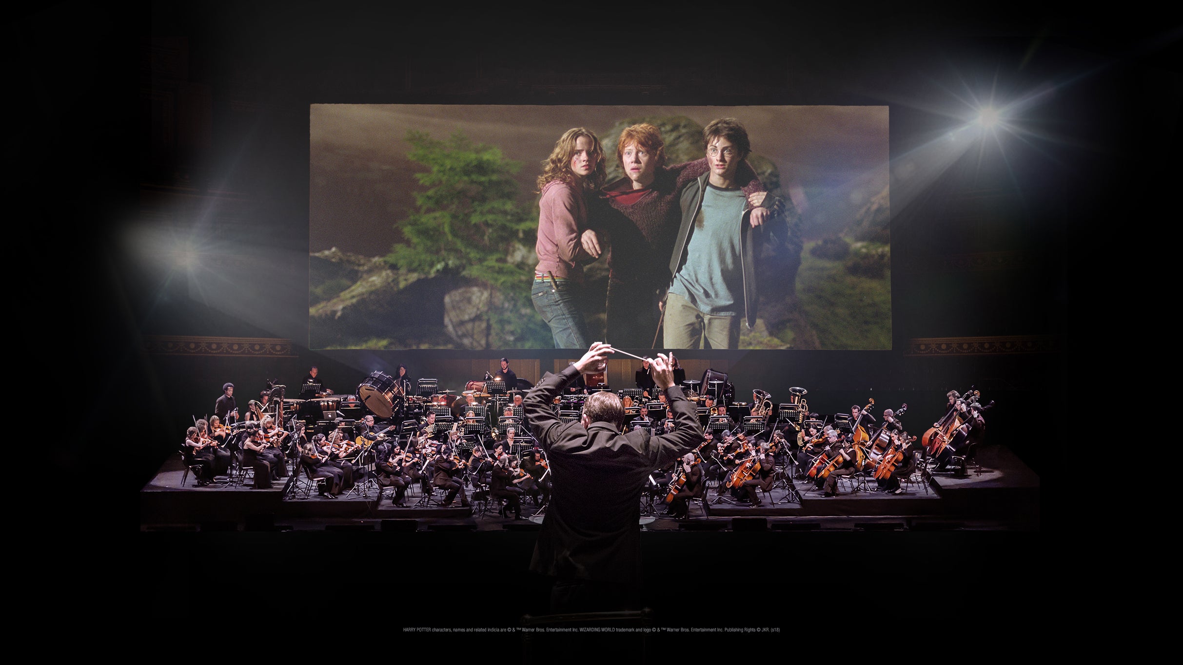 Harry Potter and the Sorcerer's Stone (TM) In Concert