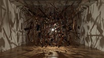 Cornelia Parker in New Zealand