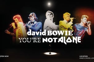 David Bowie: You're Not Alone