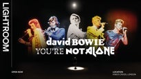 David Bowie: You're Not Alone