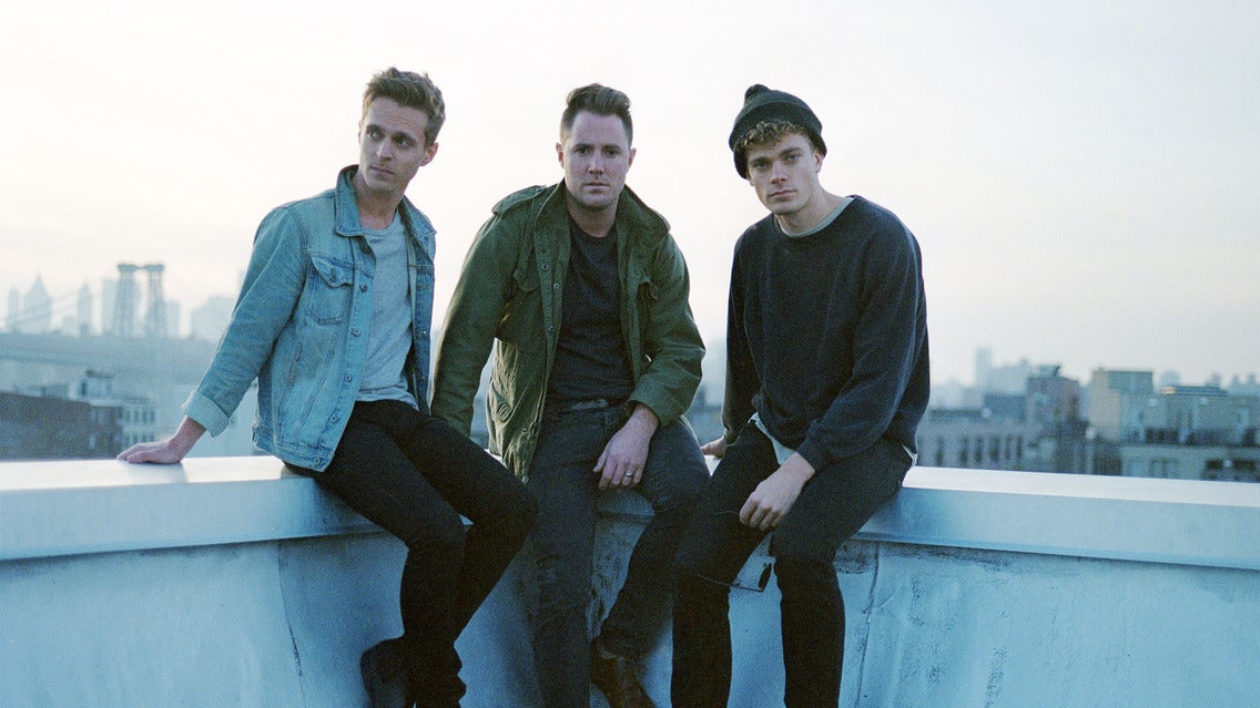 Wild Cub