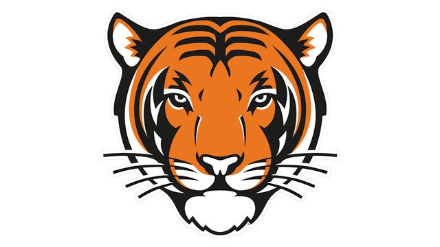 Princeton Tigers Mens Basketball