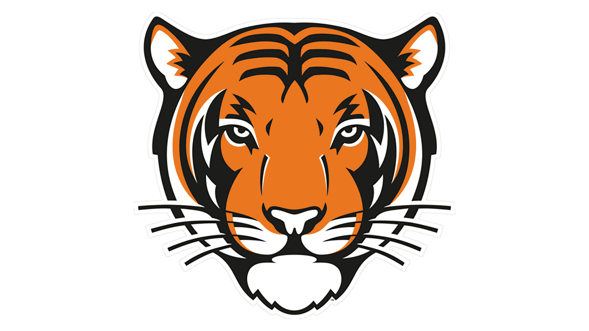 Princeton Tigers Mens Basketball