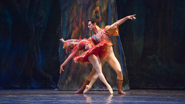 The Firebird - Dance, Story and Music