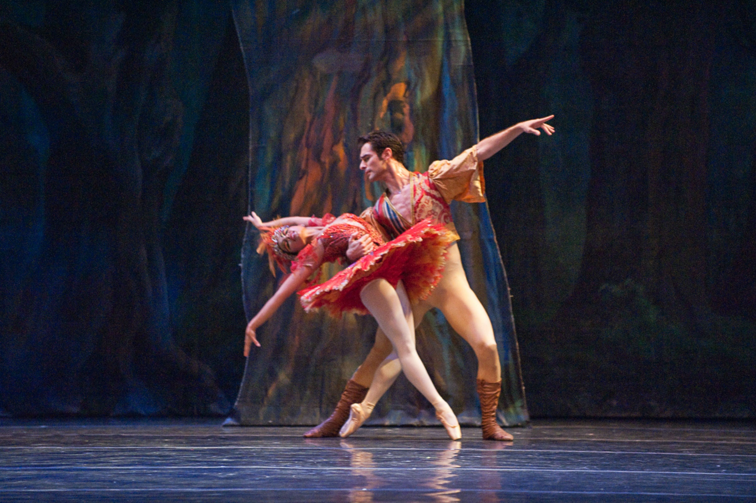 The Firebird - Dance, Story and Music