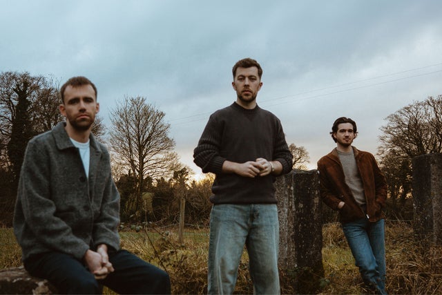 Kingfishr presale password