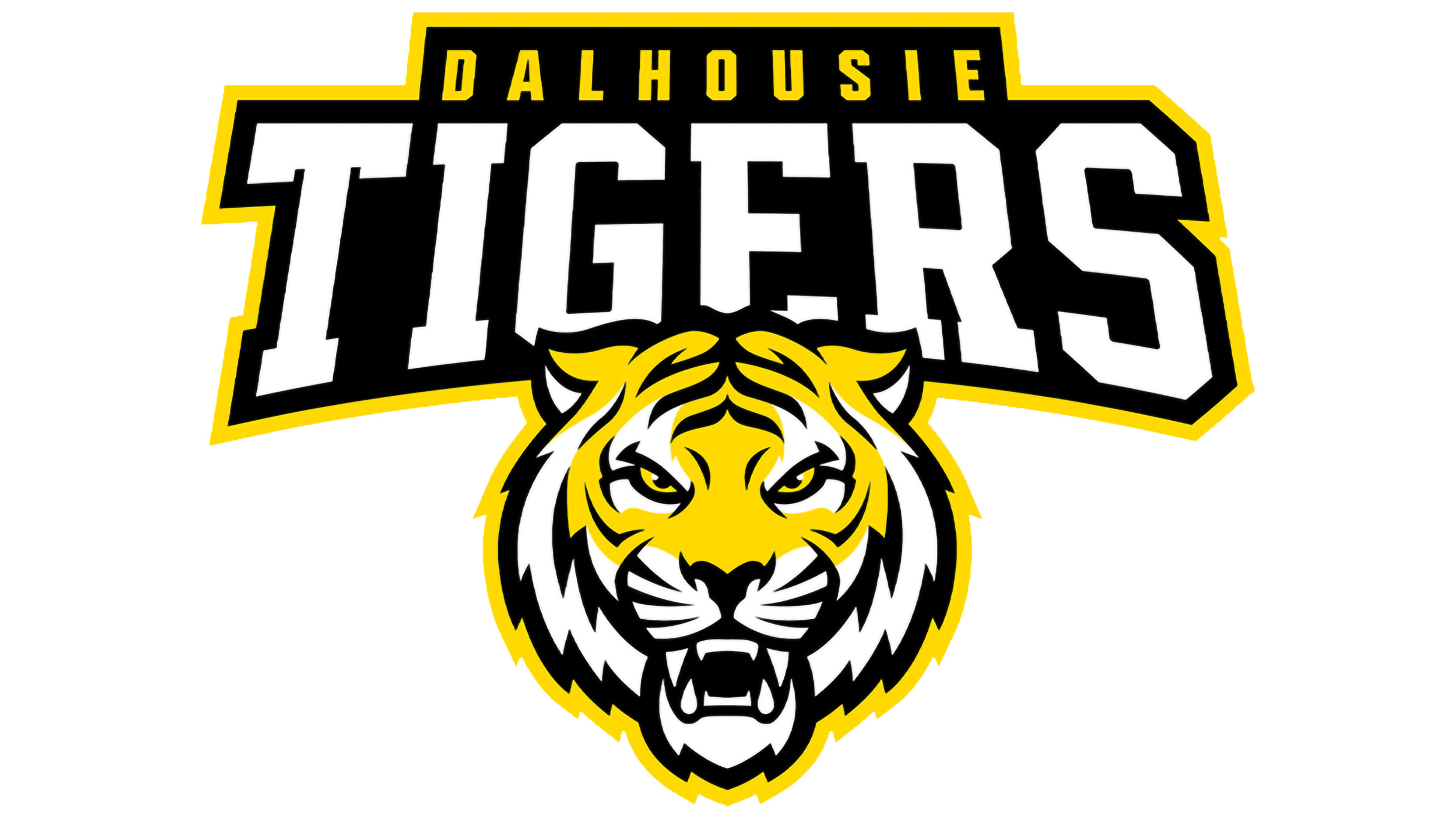 Dalhousie Tigers vs ST. FX