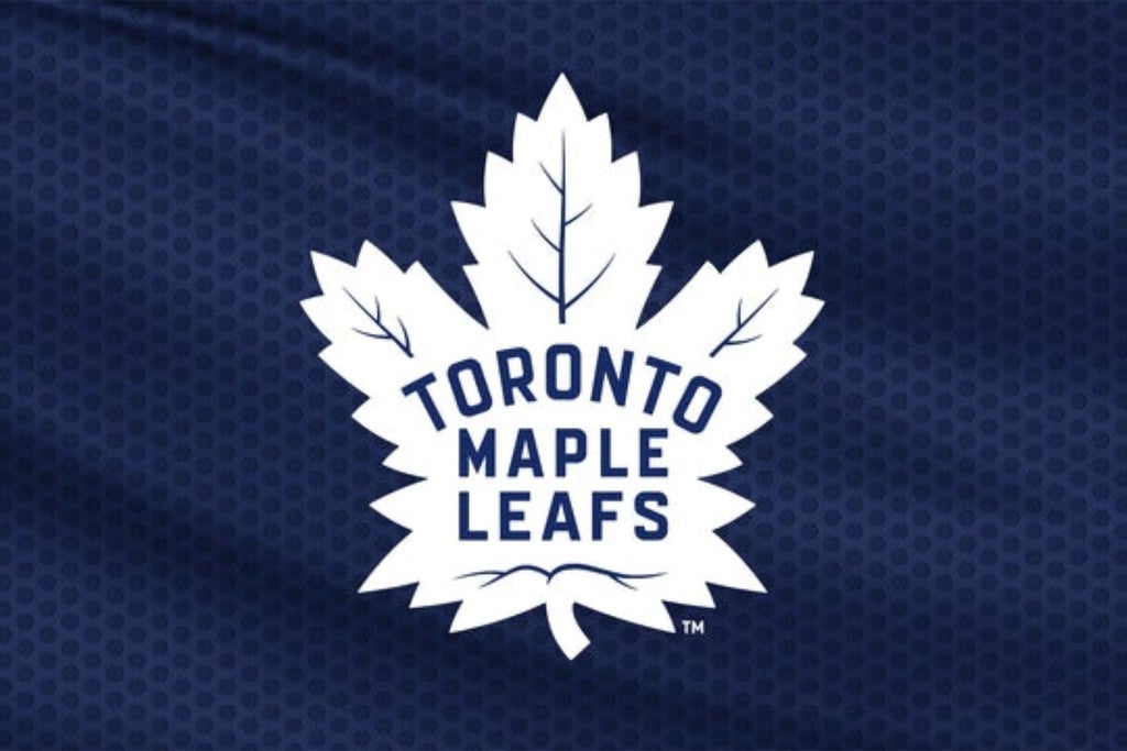 Leafs Fan Access Plus Ups: Hit the Goal Horn