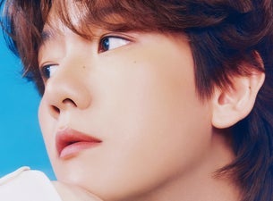 2025 BAEKHYUN WORLD TOUR <Reverie> in AMSTERDAM | VIP Loge