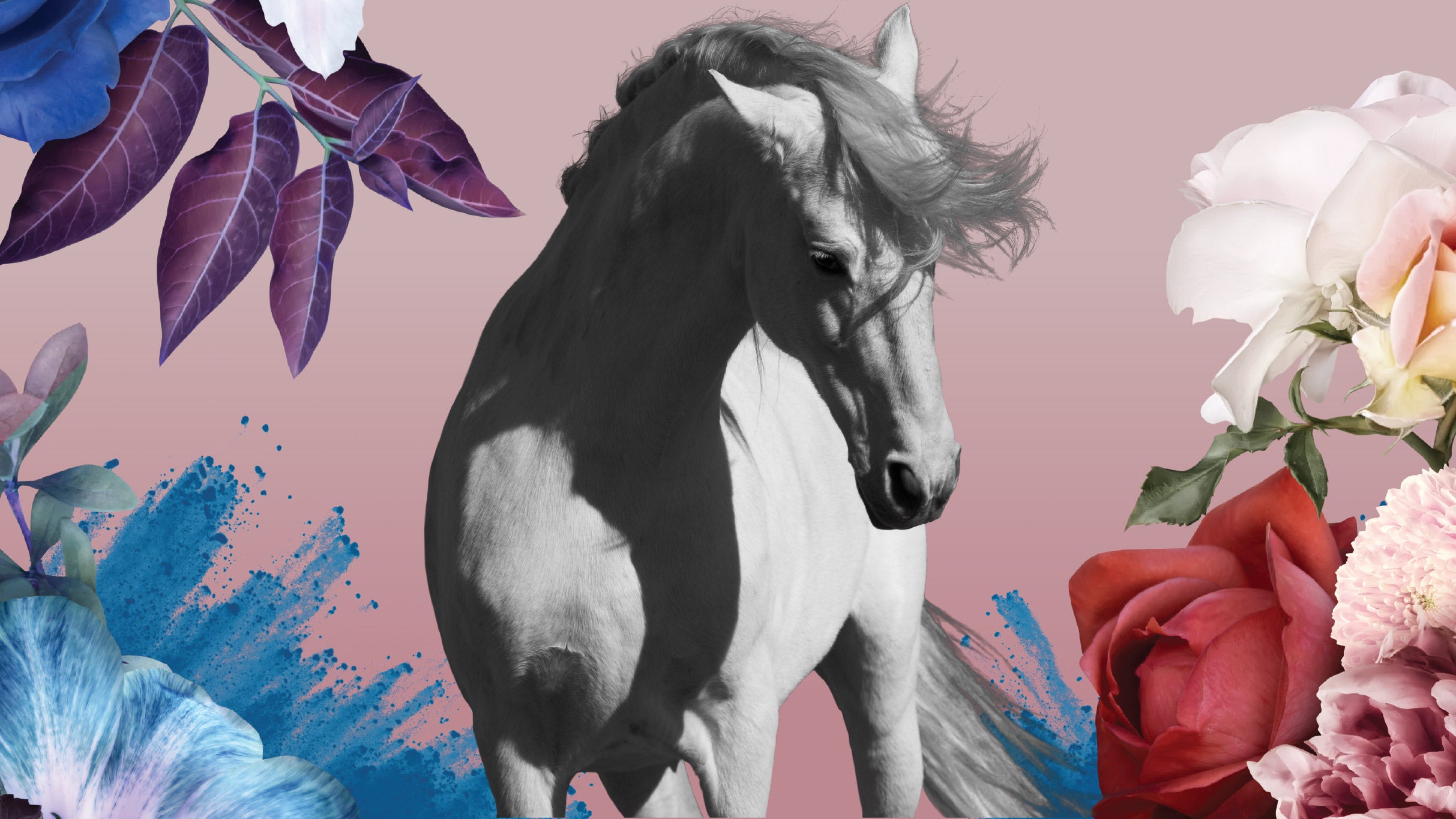 GOTHENBURG HORSE SHOW 2026 ONSDAG DAG - 1