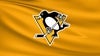 Pittsburgh Penguins Season Ticket Interest Form