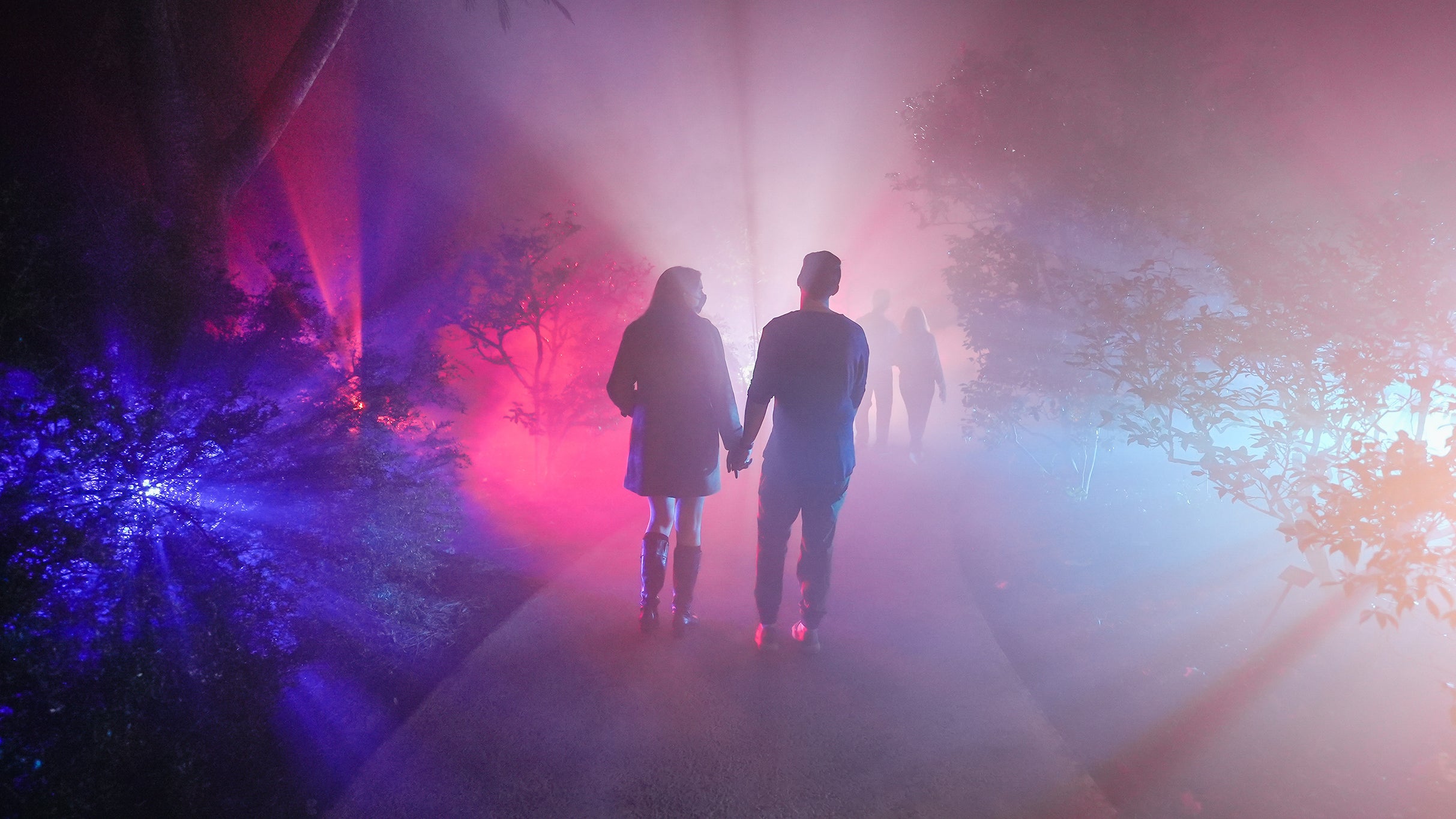 Dazzling Nights - Orlando