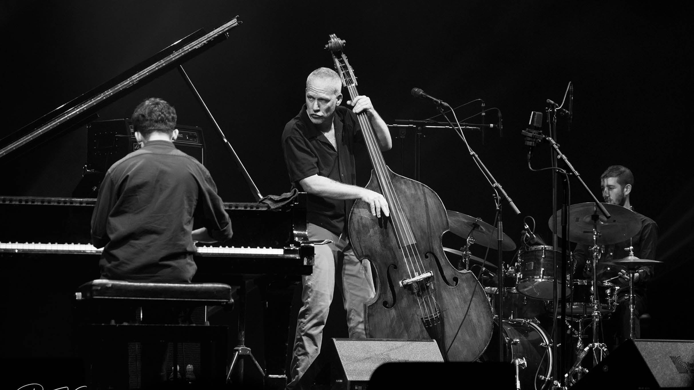 AVISHAI COHEN TRIO