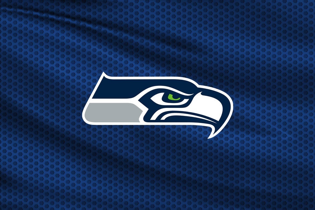 Seattle Seahawks vs. New England Patriots photo 5