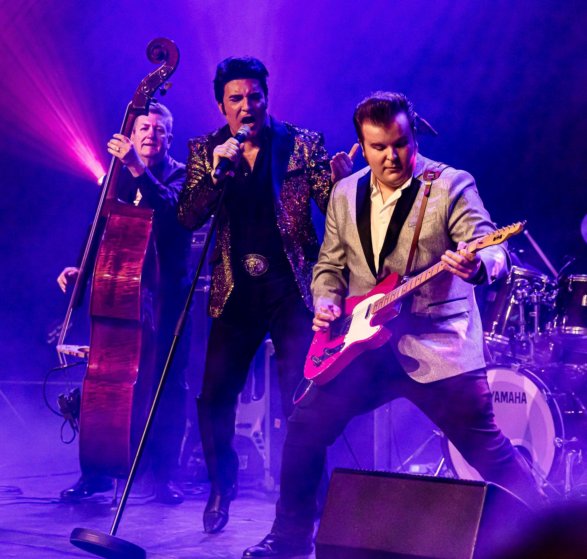 The Elvis Concert (USA)