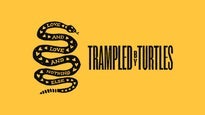 Trampled By Turtles