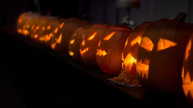 Ratoath Pumpkin farm 2024 in Ratoath Pumpkinfarm 20/10/2024