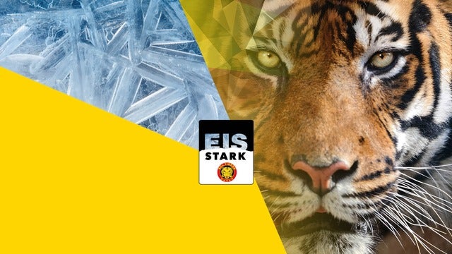 SCL Tigers vs. EV Zug in emmental versicherung arena, Langnau im Emmental 25/02/2024