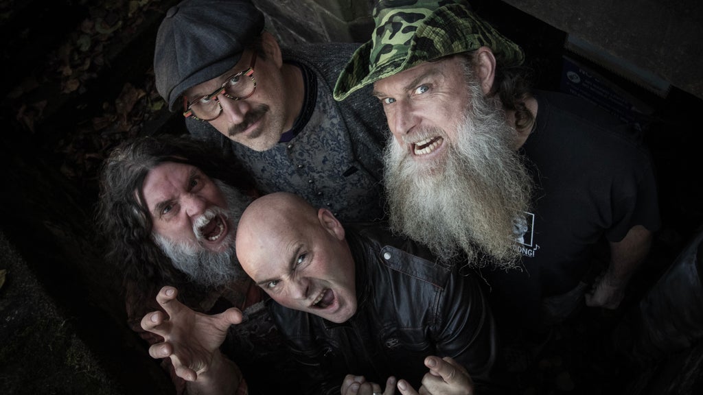 Hayseed Dixie
