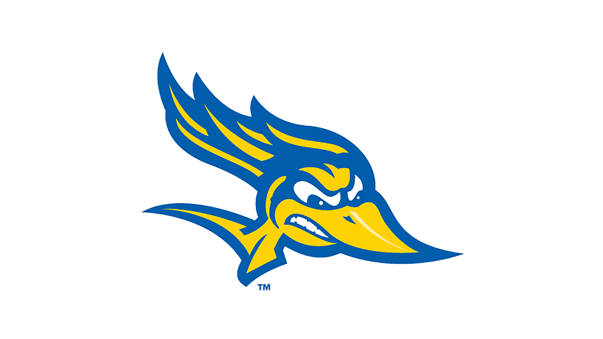 CSU Bakersfield Roadrunners Men's Basketball