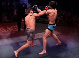 Image of CES MMA 77