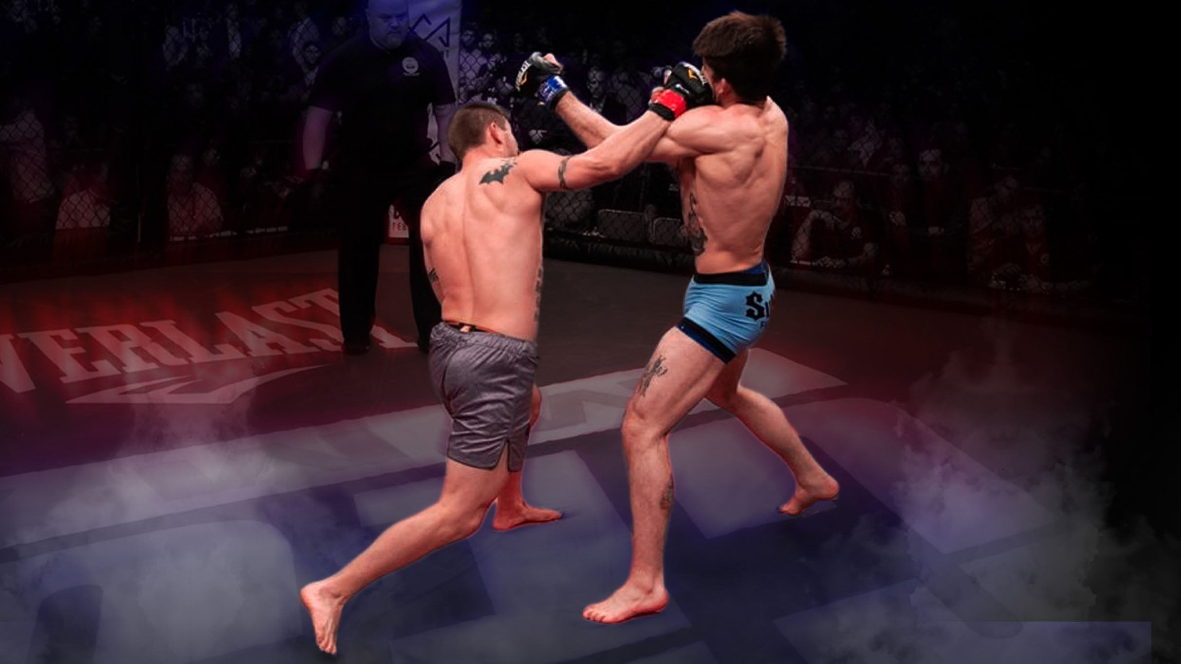 CES MMA 81