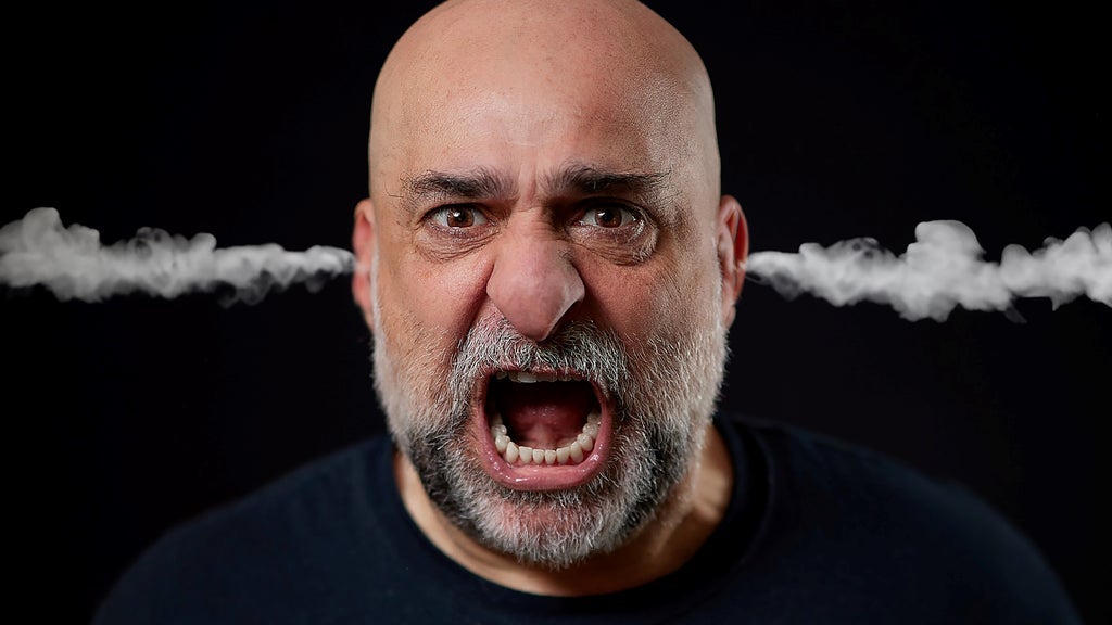 Omid Djalili: Namaste, Wycombe Swan Theatre, High Wycombe, 8 October ...