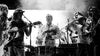 live photos