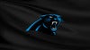 Panthers VIP Tailgate - Falcons