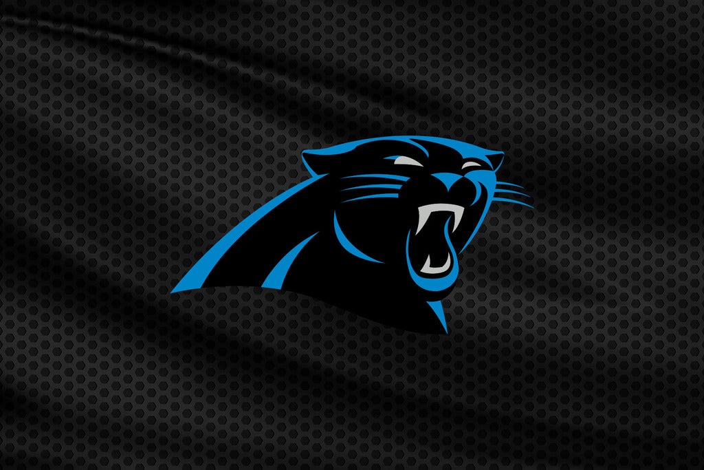 Carolina Panthers image