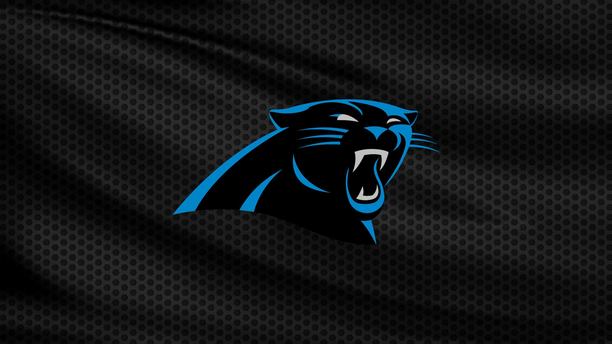 Panthers