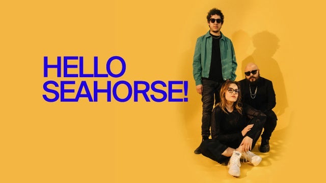 Hello Seahorse!