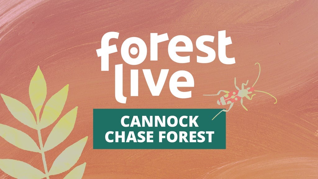 Hotels near Cannock Chase Forest Events