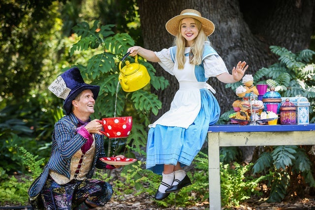 Presale codes for the australian shakespeare company: members use these when buying pre-sale tickets