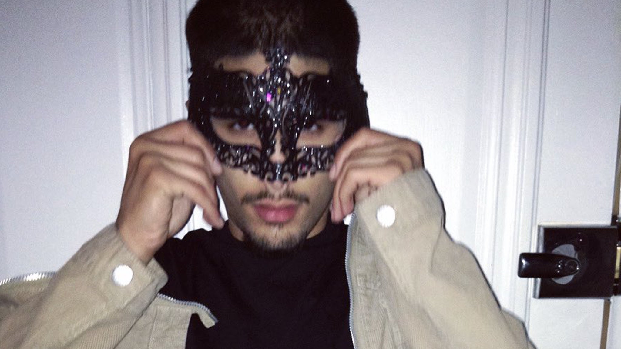 fakemink: a Terrible Beauty . - The Tour